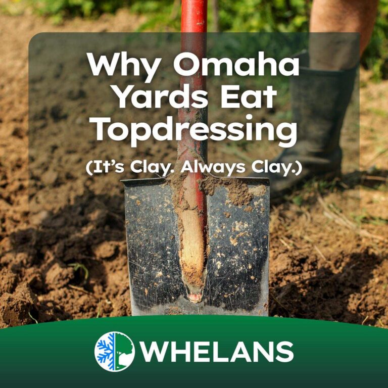 why-omaha-yards-eat-topdressing